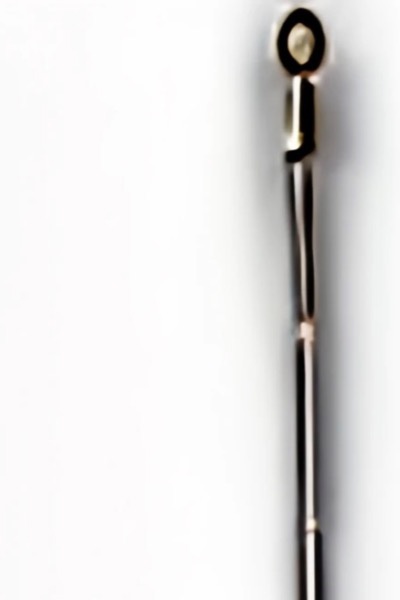 A Scientist’s Way Through A Fantasy World