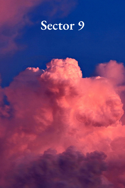 Sector 9
