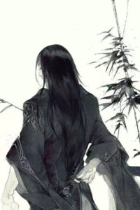 Reverend Insanity Continuation