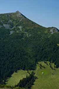 AEO  Alt Earth Online