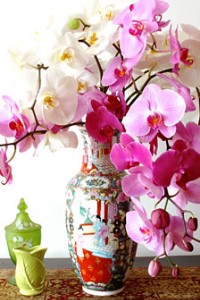 Host, At Least Let the Villains Act First!!