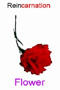 Reincarnation Flower