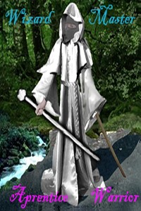 Wizard Master, Apprentice Warrior