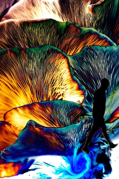 Wandering aimlessly in the cultivation world: Sign in