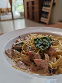 Highschool Philosophers’ Club