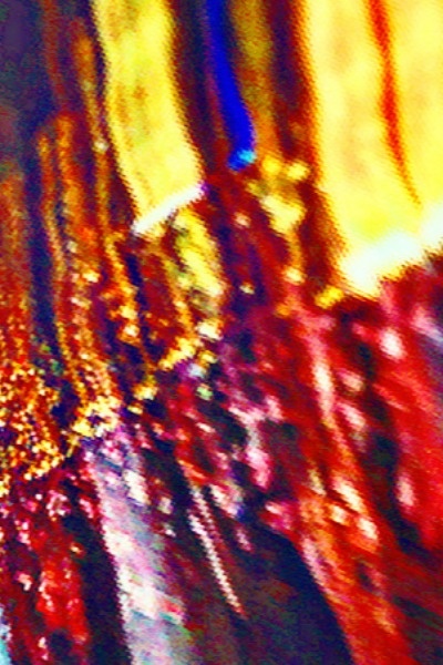 Paradise and The Pelican Bay